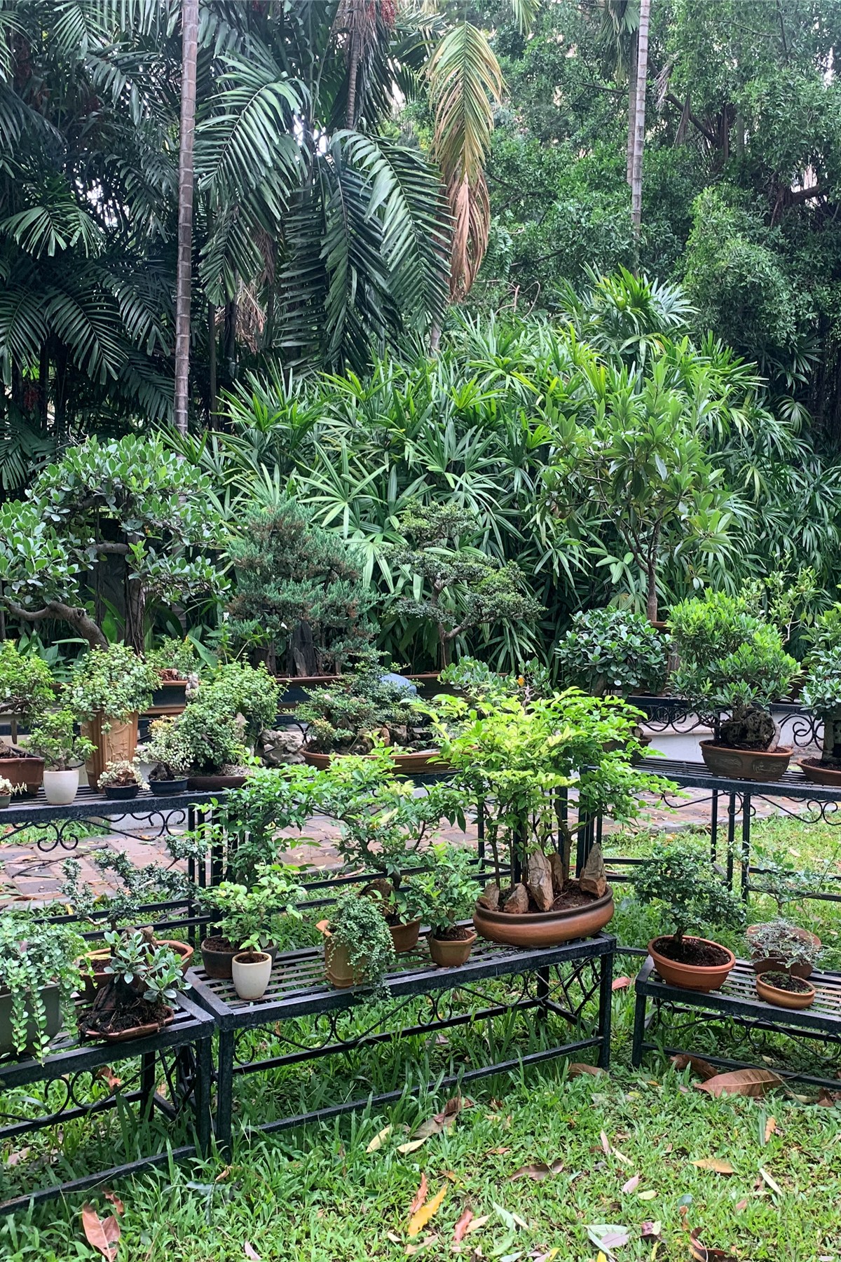 Landscaping